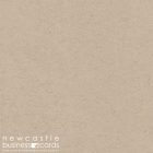 Kraft Natural Business Card Stock